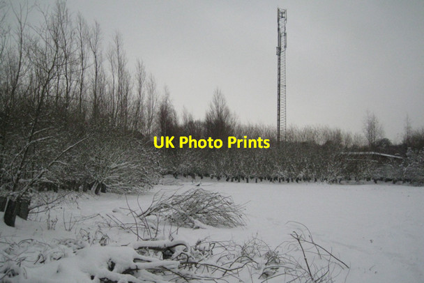 Photo 6"x4" Landscaping at the rear of Tesco, Warwick  Warwick c2010