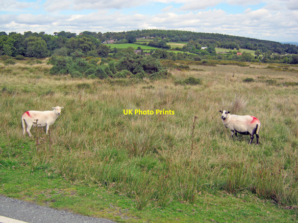 Photo 6"x4" Catherton Common Crumpsbrook c2010