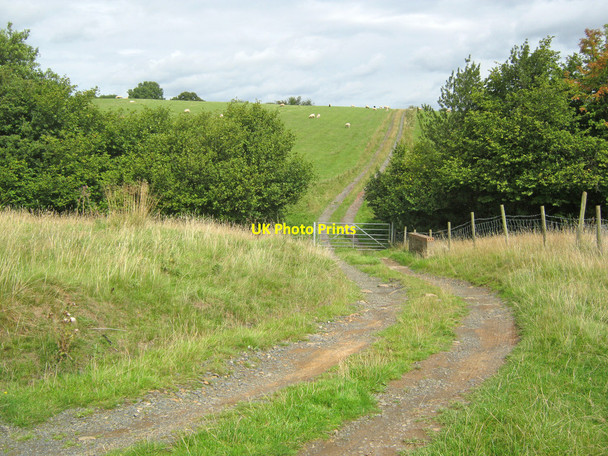 Photo 6"x4" Farm track north of Hopton Wafers Hopton Wafers c2010