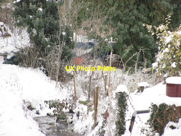 Photo 6"x4" Ashford Brook Ashford Carbonell c2010
