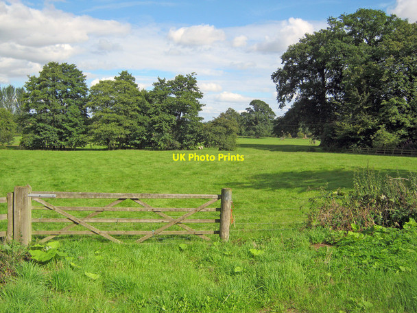 Photo 6"x4" Meadow at Cleobury North Cleobury North c2010