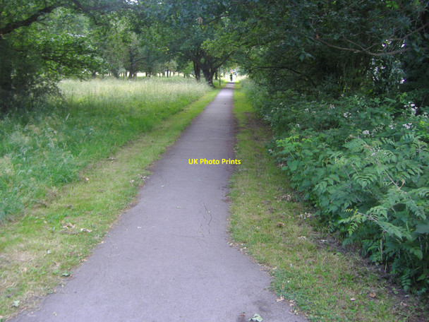 Photo 6"x4" Ashtead Common Epsom c2008