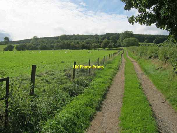 Photo 6"x4" Track leading up the side of Brown Clee Hill Loughton\/SO6183 c2010