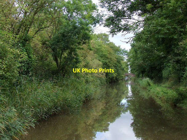 Photo 6"x4" Worcester and Birmingham Canal near Hadzor, Worcestershire Droitwich c2010