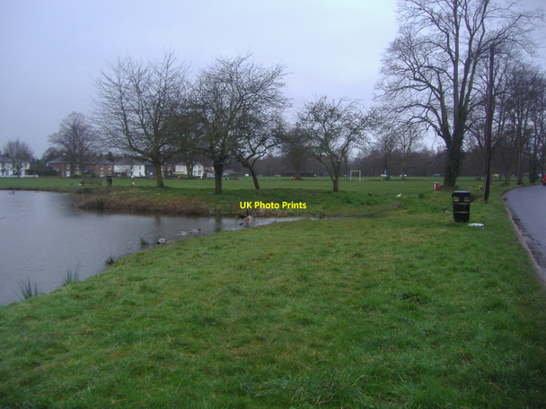 Photo 6"x4" The green and pond, Shalford Shalford\/TQ0046 c2009
