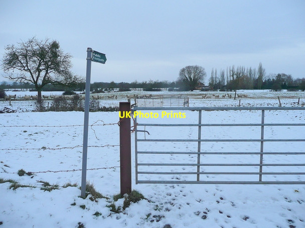 Photo 6"x4" Footpath to the Severn Elmore Back c2010