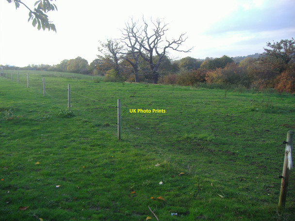 Photo 6"x4" Field behind Lullington Garth, Woodside Park Finchley c2009