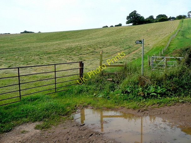 Photo 6"x4" Footpath junction English Bicknor c2009