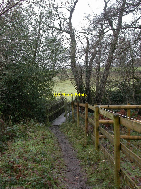Photo 6"x4" Hightown, footbridge Ringwood\/SU1505 c2010