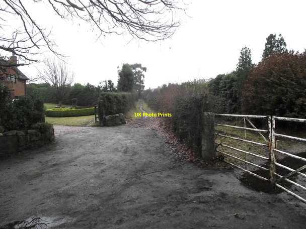 Photo 6"x4" Track to Gillow Heath Biddulph c2010
