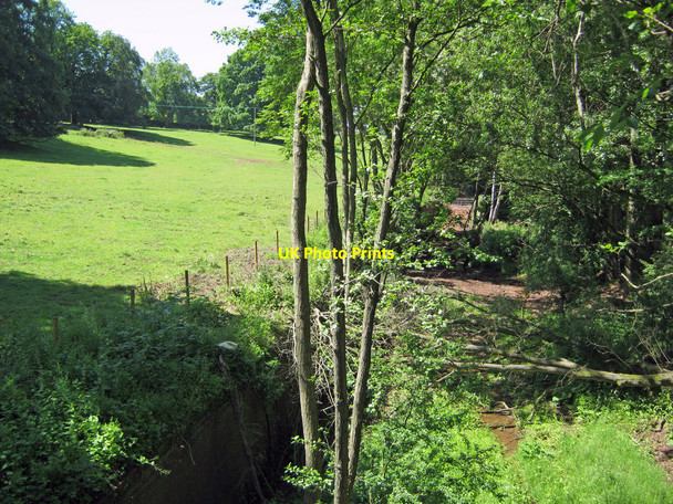 Photo 6"x4" Route of the former railway from Bitterley Wharf Angelbank c2010