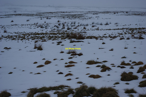 Photo 6"x4" Military land Dod Hill\/NT9100 c2010