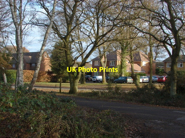 Photo 6"x4" Shaftesbury Road, Bisley Lucas Green\/SU9459 c2011