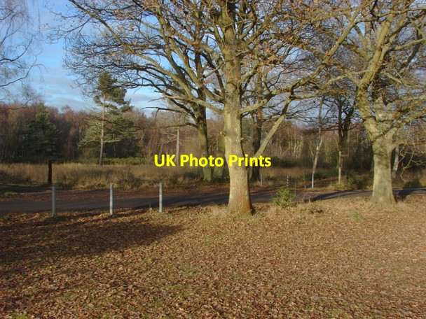 Photo 6"x4" Bisley Common Lucas Green\/SU9459 c2011