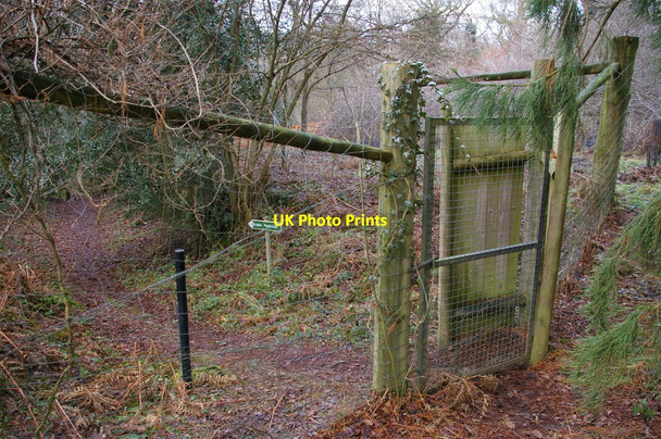 Photo 6"x4" Public footpath crosses Wakehurst Place grounds West Hill\/TQ3230 c2011 P1