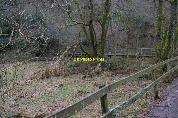 Photo 6"x4" Wakehurst Place: walkway round head of Westwood Lake West Hill\/TQ3230 c2011