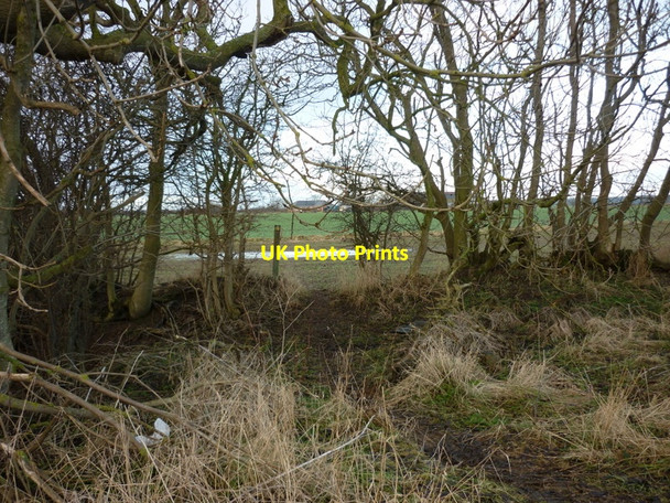 Photo 6"x4" A footpath heading west towards Patrington Welwick c2011