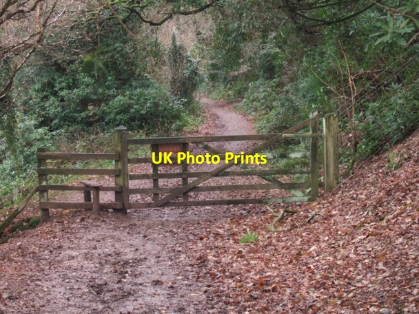 Photo 6"x4" Gate on footpath into Brakehill Plantation Wembury c2010