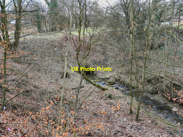 Photo 6"x4" Doe Hey Brook Farnworth\/SD7305 c2011