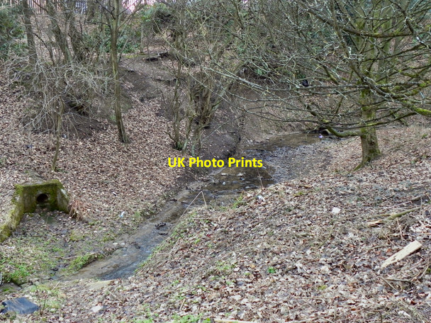 Photo 6"x4" Doe Hey Brook Bolton\/SD7108 c2011