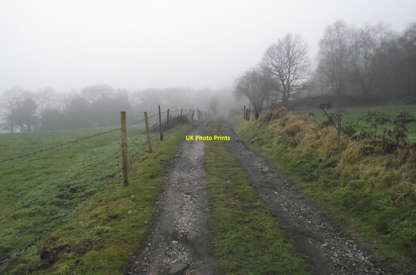 Photo 6"x4" Looking up into the cloud Biddulph c2010