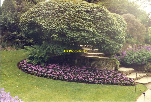 Photo 6"x4" Hever Castle Chiddingstone c1994