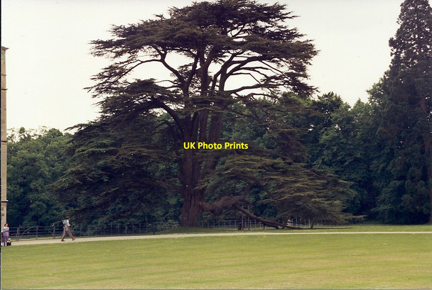 Photo 6"x4" Hever Castle Hever c1994