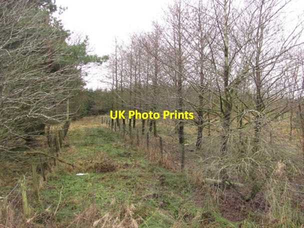 Photo 6"x4" Hamiltonhall Strip Damside\/NT1648 c2011