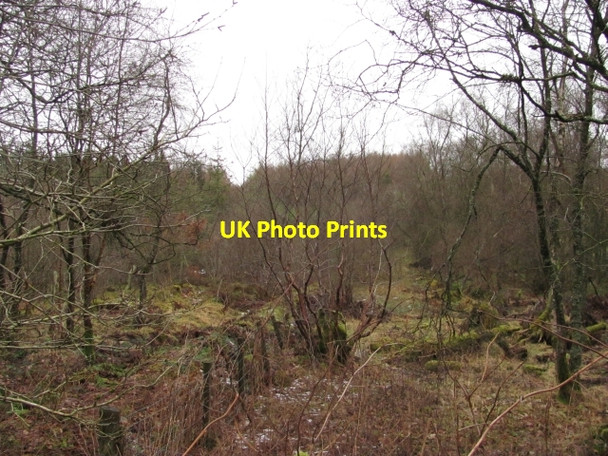 Photo 6"x4" March fence Dolphinton c2011