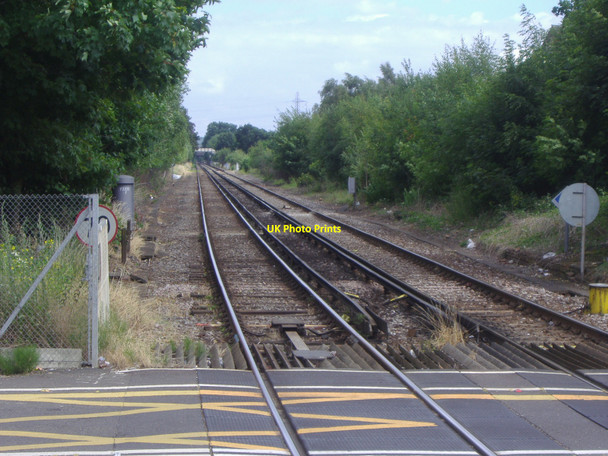 Photo 6"x4" Railway line south of Chertsey station Chertsey c2008