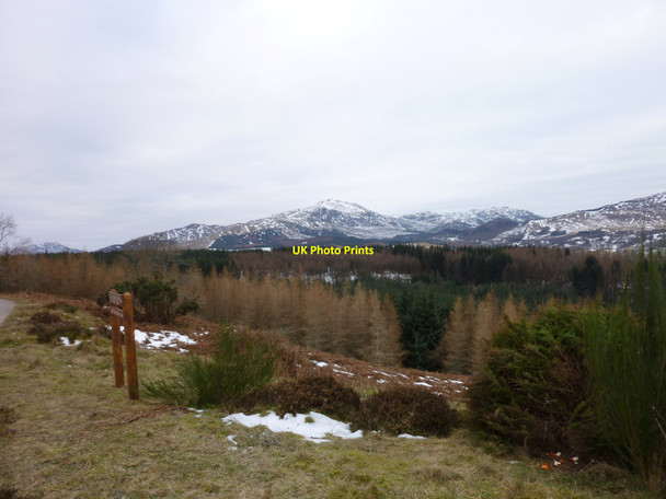 Photo 6"x4" Toward Ben Ledi Callander c2011