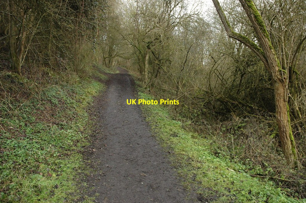 Photo 6"x4" Footpath on Robins Wood Hill Matson c2011