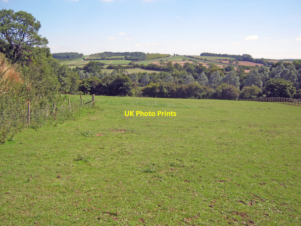 Photo 6"x4" Paddock west of Ford Ford\/SP0829 c2010
