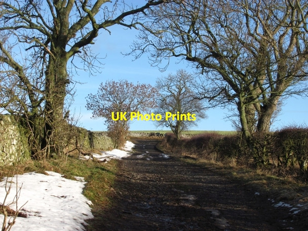 Photo 6"x4" Road, Renton Grantshouse c2011
