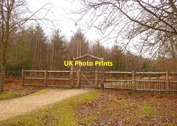 Photo 6"x4" West Gate to Blackwater Arboretum North Weirs c2011