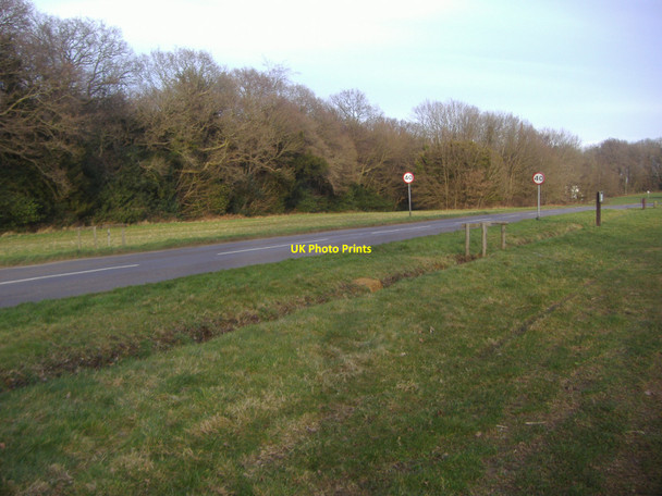 Photo 6"x4" Ranmore Common Road, Dorking Ranmore Common\/TQ1450 c2009