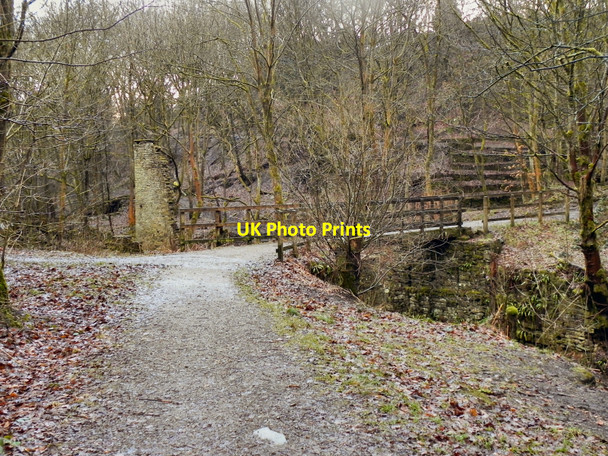 Photo 6"x4" Bridge Over Naden Brook Norden\/SD8514 c2011