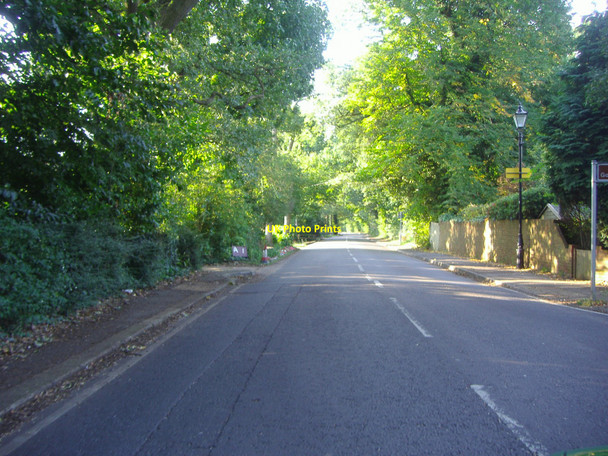 Photo 6"x4" Ockham Road North, West Horsley East Horsley c2008