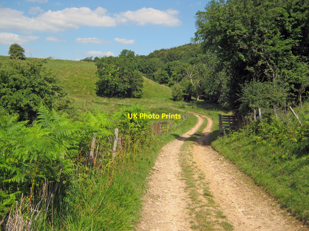 Photo 6"x4" Track to Pinnock Farm Farmcote\/SP0628 c2010
