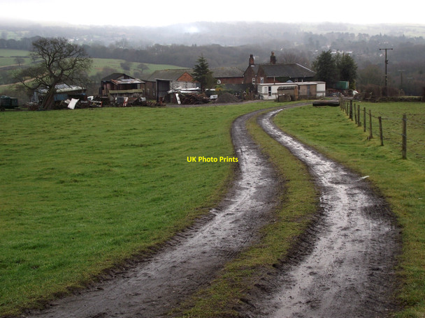 Photo 6"x4" Higher Whitemoor Farm Whitemore c2010