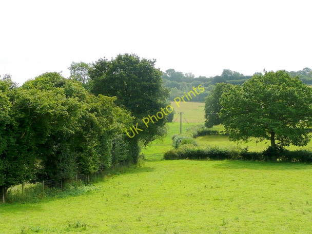 Photo 6"x4" Pastoral scene Hillersland c2009