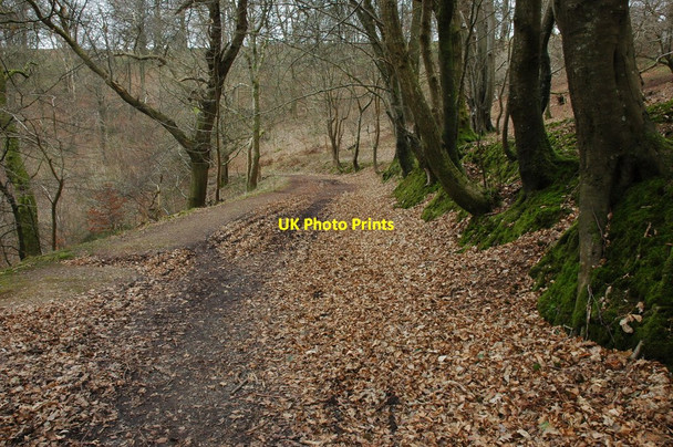 Photo 6"x4" Coast path above Picklecombe Point Cremyll c2009
