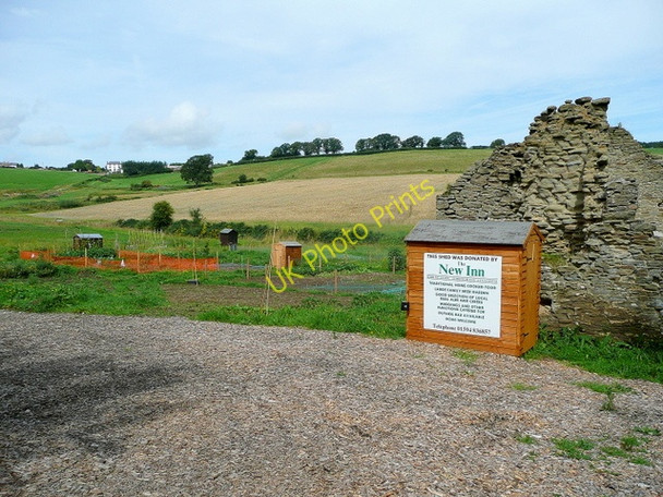 Photo 6"x4" Joyford allotments Joyford c2009