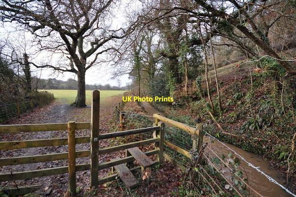 Photo 6"x4" A stile next to a leat on the outskirts of Tutshill Wood Barnstaple c2011