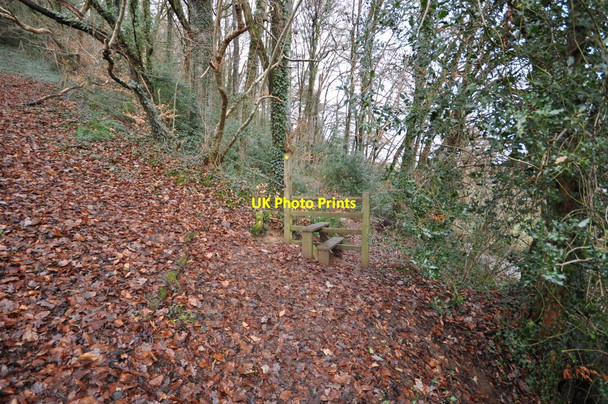 Photo 6"x4" One of many stiles in Tutshill Wood Barnstaple c2011