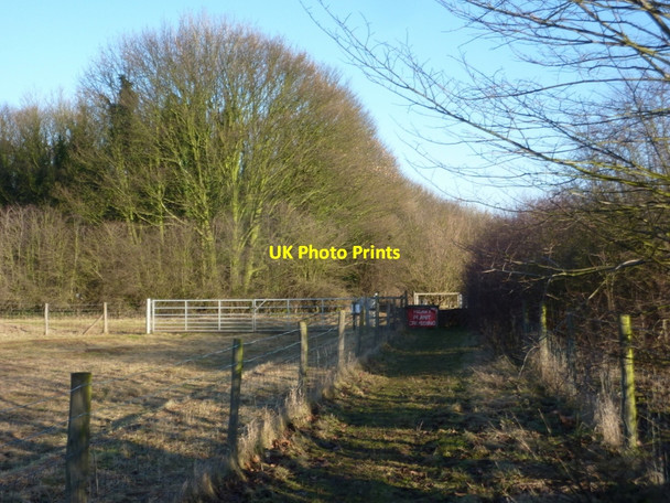 Photo 6"x4" Path towards Cuckney Hay Wood Market Warsop c2011