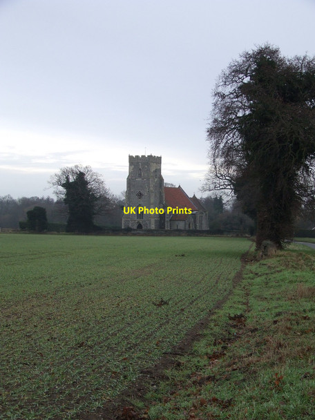 Photo 6"x4" Across The Fields Pockthorpe\/TL9196 c2011