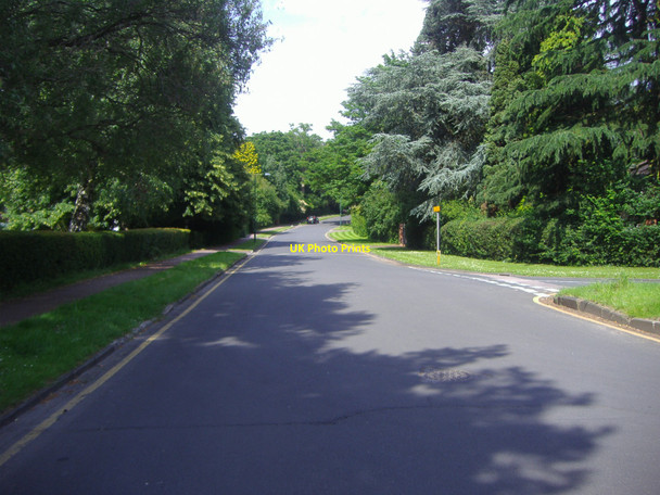 Photo 6"x4" Goldrings Road, Oxshott Oxshott c2008