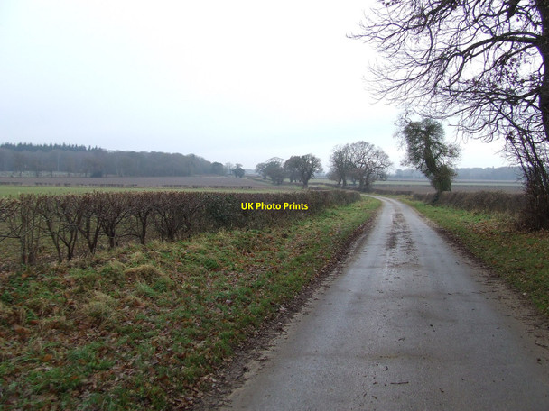 Photo 6"x4" Tottington Road Pockthorpe\/TL9196 c2011