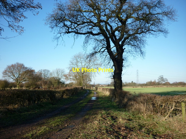 Photo 6"x4" Carrbank Lane towards Stockton on the Forest Moor End\/SE6656 c2011